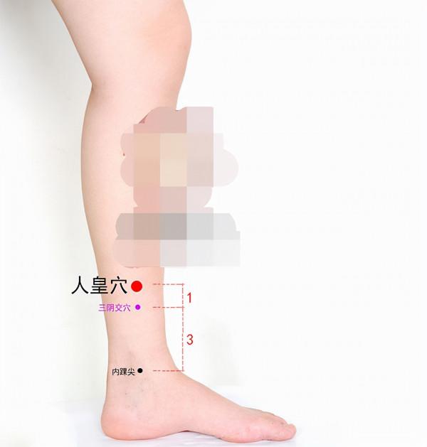 中醫針灸肩部疾病處方1 中醫針灸肩部疾病處方1