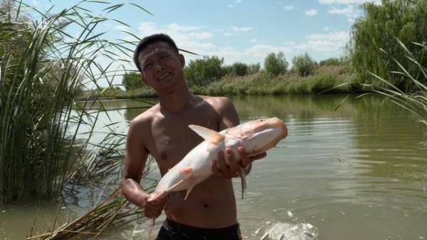 小夥放棄學業回鄉創業,水上養雁、水下養魚,年銷售額達1500萬元 小夥放棄學業回鄉創業,水上養雁、水下養魚,年銷售額達1500萬元