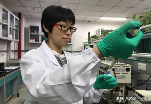 李地豔（女），四川農業大學教授、博導，動物遺傳進化專家