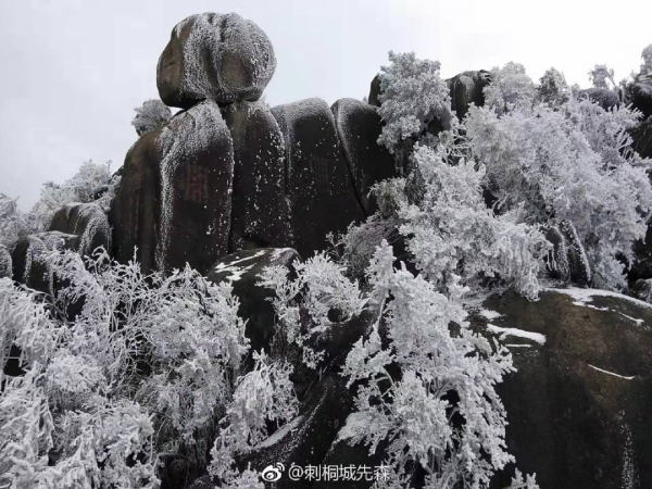 一起賞雪呀 | 今冬福建的初雪可能就要來啦！