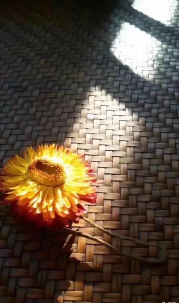 寫給兒子的一封信 寫給兒子的一封信