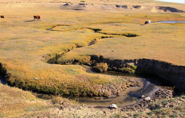 中國最窄的河流,最窄處僅幾公分,被當地人稱“嗓子眼” 中國最窄的河流,最窄處僅幾公分,被當地人稱“嗓子眼”