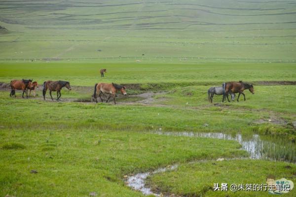 甘肅相對低調的城市，風景秀美、人文厚重，被譽為“甘肅咽喉”