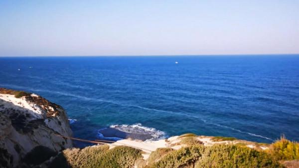 送給杜富國的春節禮物：把維和掃雷的故事講給你聽