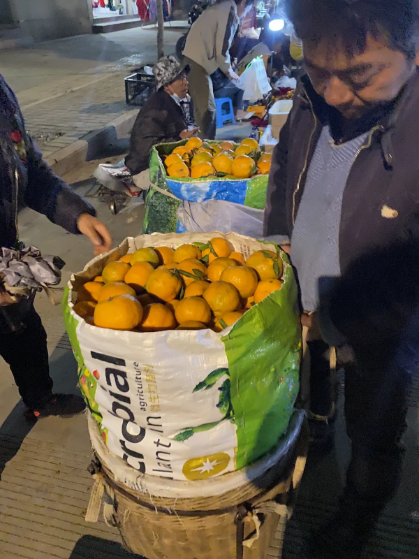 雲南紅河蒙自，大樹寨夜市