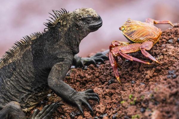 國家地理系列《五》