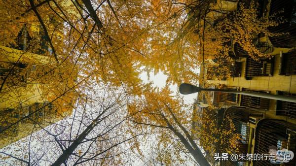 打卡國內幾處絕美的賞秋勝地，品味“人間最美是清秋！”