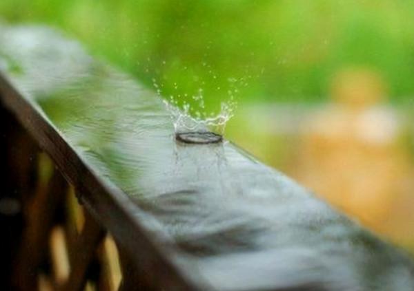 41個冷知識:看起來些許荒謬,但卻可以使人博學的有趣知識 41個冷知識:看起來些許荒謬,但卻可以使人博學的有趣知識