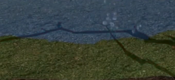 2016年，雲南深山出現&quot&semi;失魂塘&quot&semi;&comma;動物靠近離奇死亡，專家一探究竟