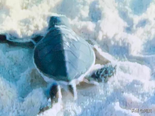 李鐵離懸崖近了，宣誓口號沒用，但足球它也就是個玩意兒