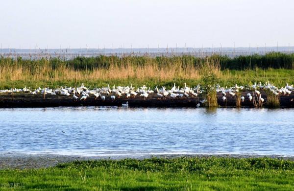 亞洲最大的平原水庫竟在河南,人稱北方“人造洞庭”,你去過嗎 亞洲最大的平原水庫竟在河南,人稱北方“人造洞庭”,你去過嗎