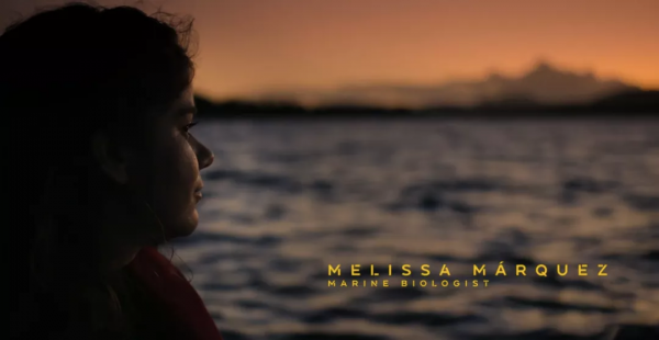 一口氣刷完6集，這豆瓣9.3太炸了