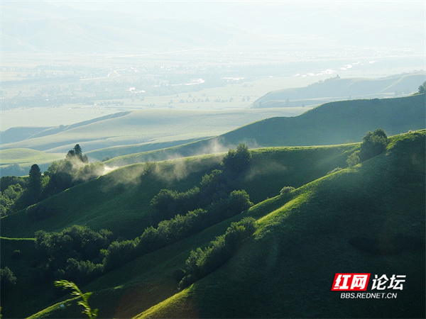 帶你看看網友鏡頭下“那拉提養蜂女”生活的草原有多美