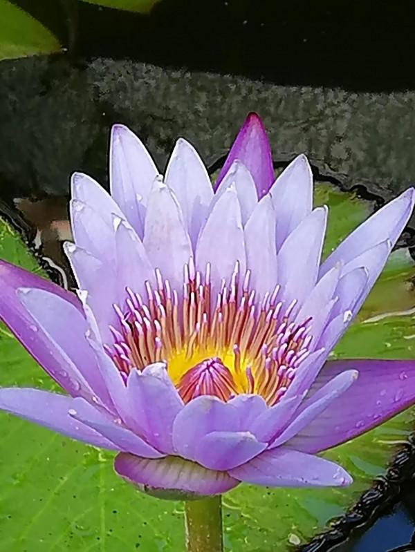 #分享新生活# #分享新生活#