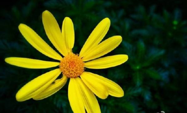 真正高階的活法，是“寡淡”的