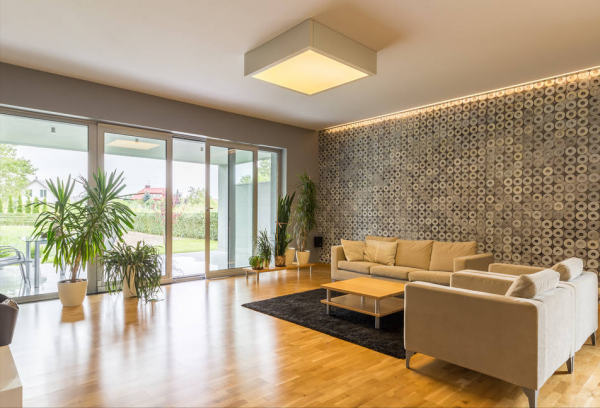 適合客廳養的12種“旺財花”,美觀大氣,格調高雅,養人還旺家 適合客廳養的12種“旺財花”,美觀大氣,格調高雅,養人還旺家