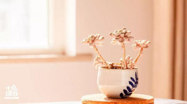 有故事的人,才能看懂阿德勒的8句話 有故事的人,才能看懂阿德勒的8句話