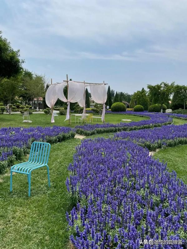 京城遛娃好去處，價格、硬體、軟體彙總，冬季遛娃好輕鬆
