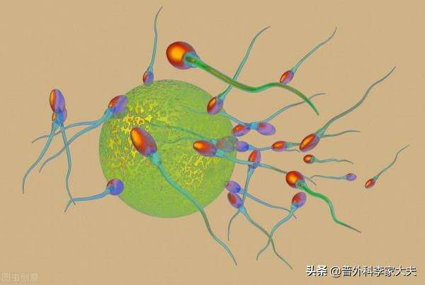 如何避免小孩患癌症?聽聽醫生的建議 如何避免小孩患癌症?聽聽醫生的建議