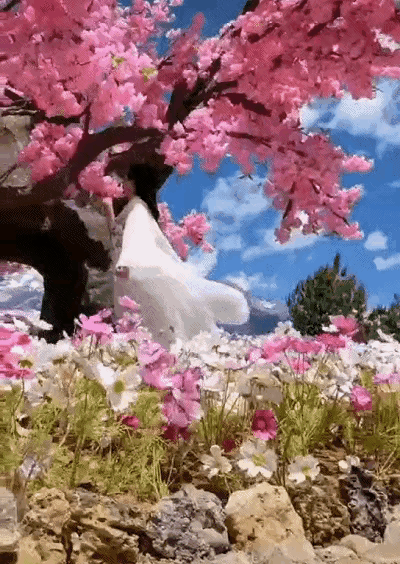 分享 世界之美 人間仙境 美呆啦