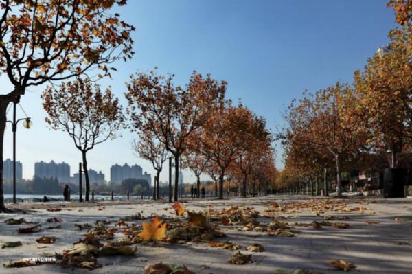 秋日“佳釀”，醇厚濃烈！季節限定款美景，錯過等一年