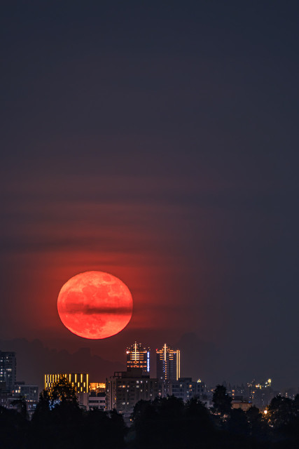 后羿能射日，他為何不把月亮射下來？