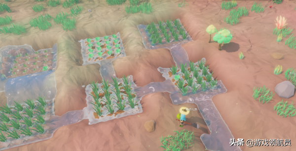 國產符文工房?國產沙盒生存遊戲《無徑之林》22年發售 國產符文工房?國產沙盒生存遊戲《無徑之林》22年發售