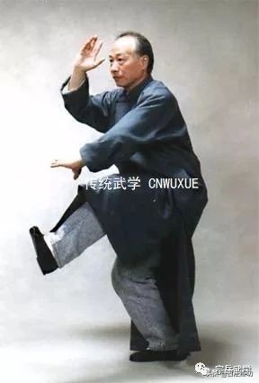 彈抖勁及其練習