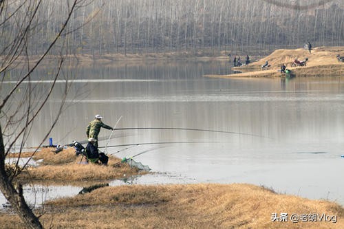 冬釣時碰到了這兩種天氣，大板鯽超級多，錯過就是遺憾