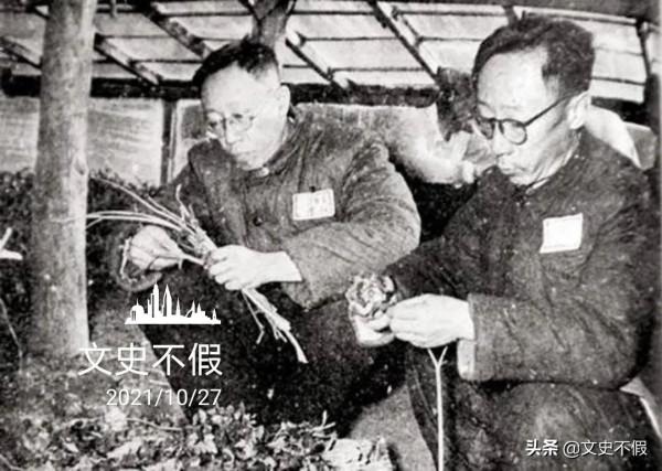 一個滿清皇室，一個日本貴族，溥傑嵯峨浩將政治婚姻過得相濡以沫