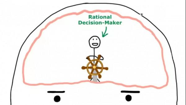 孩子為什麼拖拉磨蹭？其實跟大腦發育有關，很多家長都錯怪孩子了