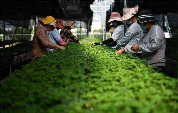 雲南3個美麗的低調小城,冬天暖陽物美價廉,北方人過冬的好地方 雲南3個美麗的低調小城,冬天暖陽物美價廉,北方人過冬的好地方