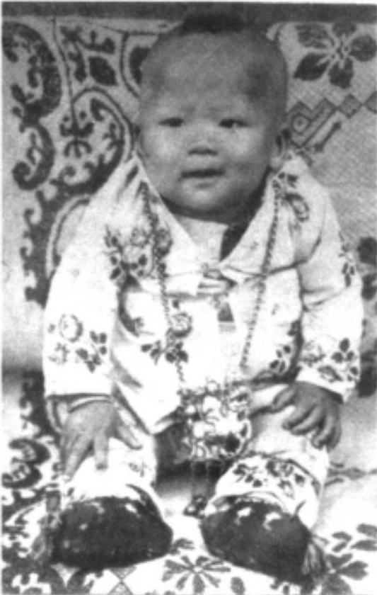 61年楊虎城之子受邀參加招待會，因何請求周總理：我有件事不甘心