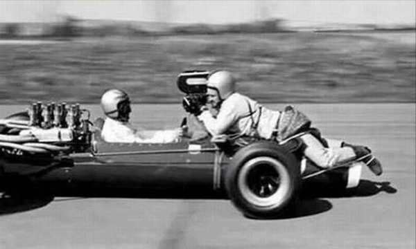 88個難得一見的照片，大象岩石，被章魚攻擊的海豚，飛行員眼鏡