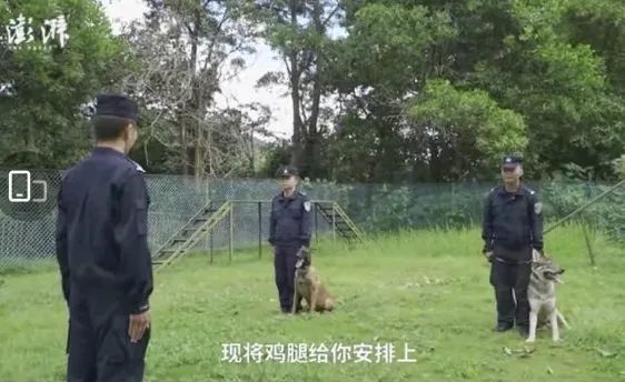 985畢業生回應辭掉公務員賣豬肉【三分鐘法治新聞全知道】