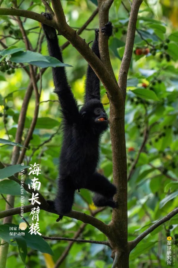 出發！看中國五大國家公園