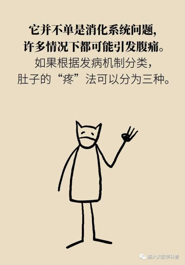 腹痛病因知多少？| 醫學小漫畫