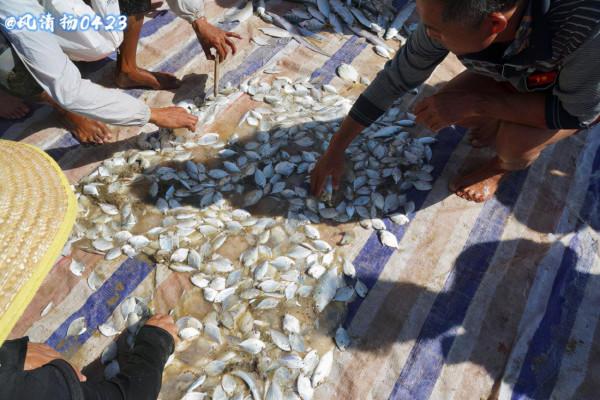 斷子絕孫網（21——341）