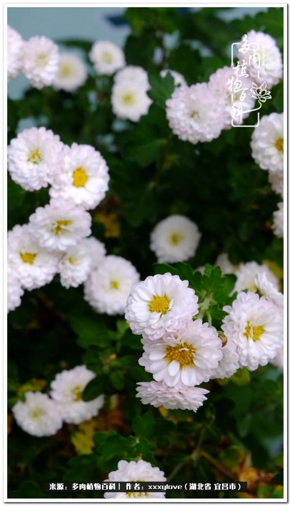 時光匆匆，一閃而逝，這世間萬物的美，都值得被記錄