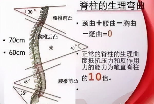 後背疼痛的根本原因大解析