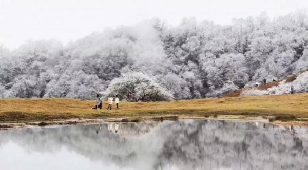 「甘海子」高山牧場,霧凇奇景 「甘海子」高山牧場,霧凇奇景