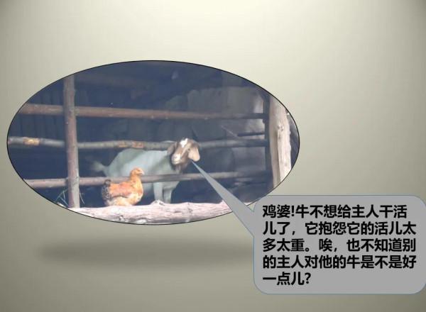 論溝通的重要性，以&OpenCurlyDoubleQuote;牛是怎麼死的&rdquo;來舉例，看懂就成功了一半