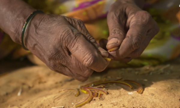 印度奇葩喪宴，為了面子請客2500人，結果揹負高額債務