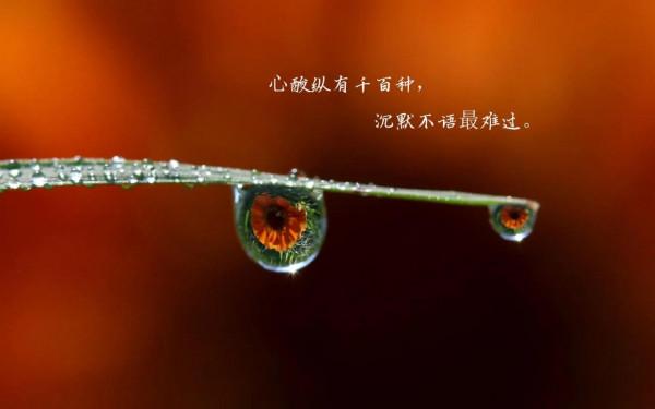 《中秋賦》 《中秋賦》