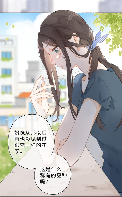 《街角的向陽花屋》兔街子新作，溫暖治癒系