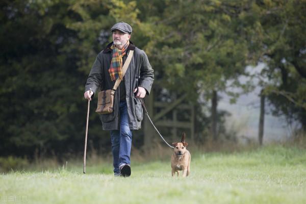 55歲以後每天需走多少步