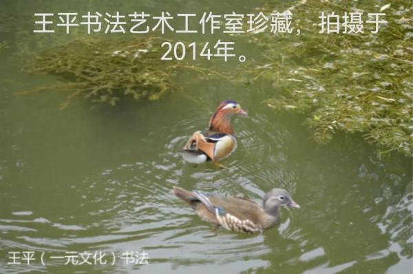 忠貞愛情騙了幾千年 忠貞愛情騙了幾千年