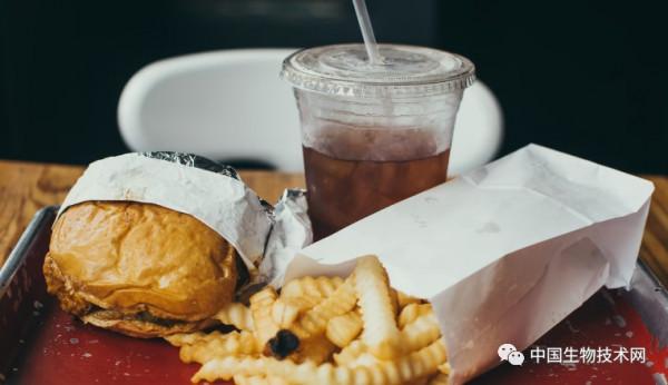 高糖高脂飲食會破壞腸道生態，導致炎症性面板病惡化
