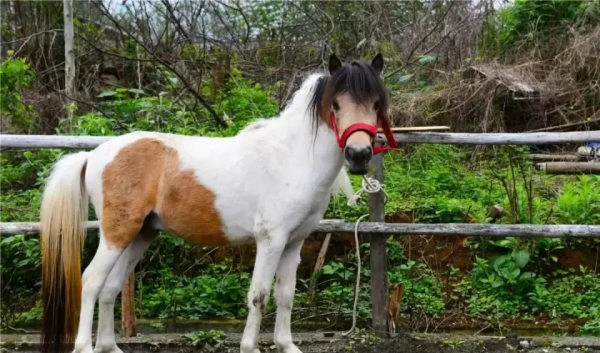 年初的旅行計劃都實現了嗎？這12個地方人少景美，再不去就晚了