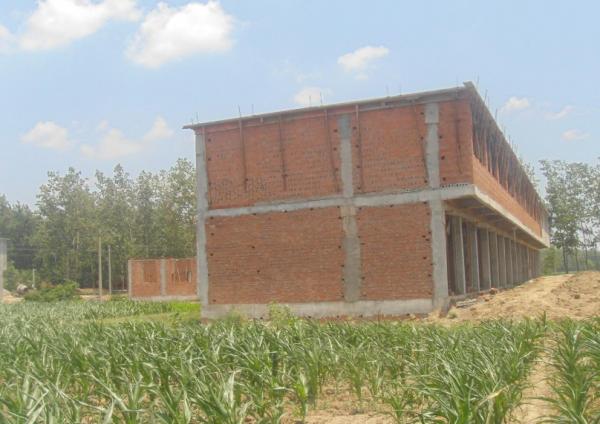 農民能不能在自家耕地裡建房?如果不能,以前蓋的房子會被拆除嗎 農民能不能在自家耕地裡建房?如果不能,以前蓋的房子會被拆除嗎